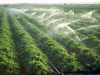 Des dizaines de villages dans la vallée d’Ararat sont sans eau d’irrigation