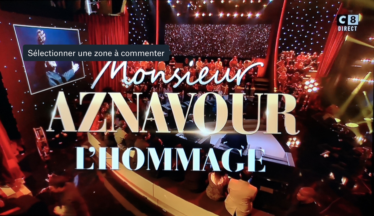 Monsieur Aznavour sur C8