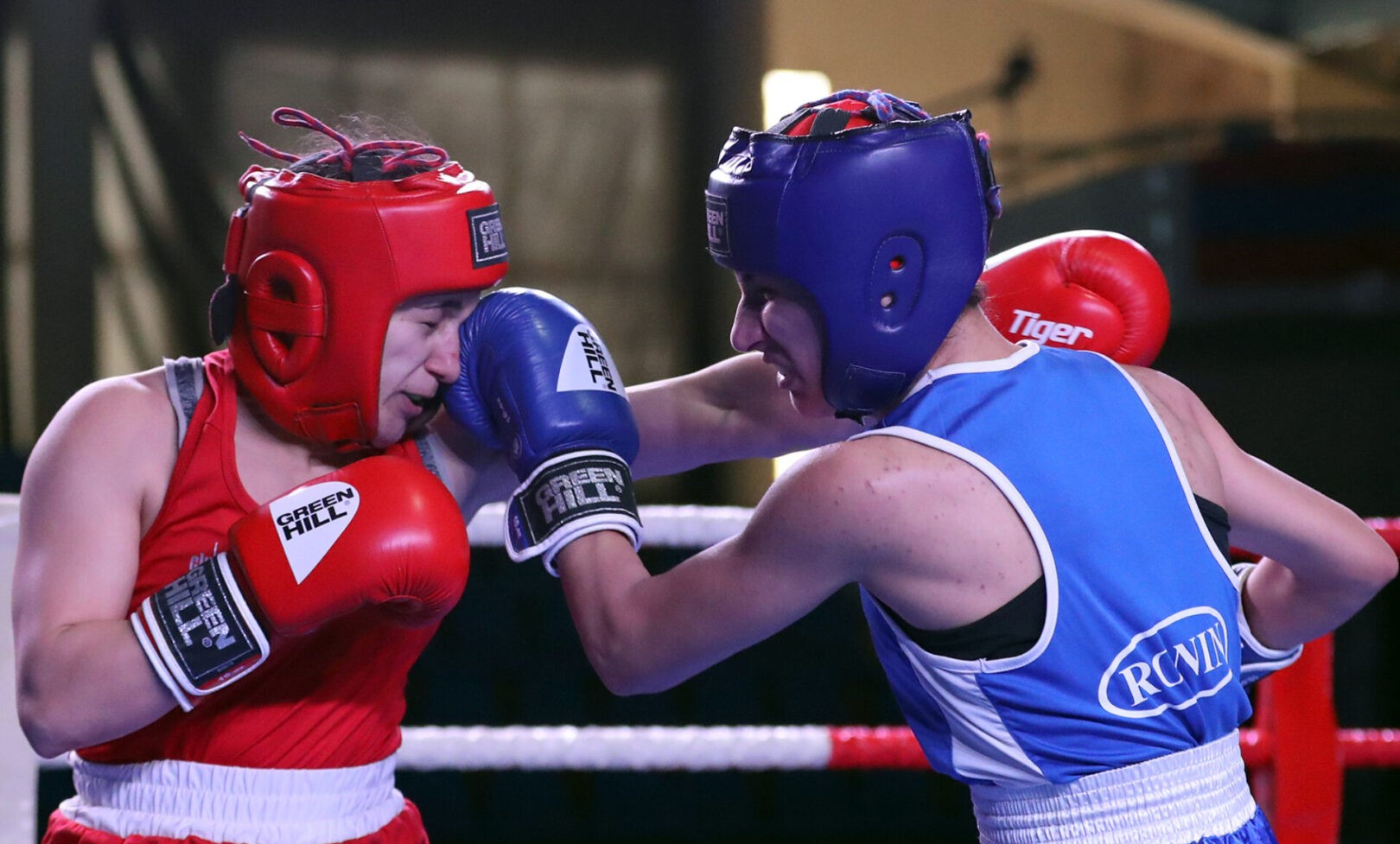 Les champions de boxe d’Arménie de 2023 sont connus