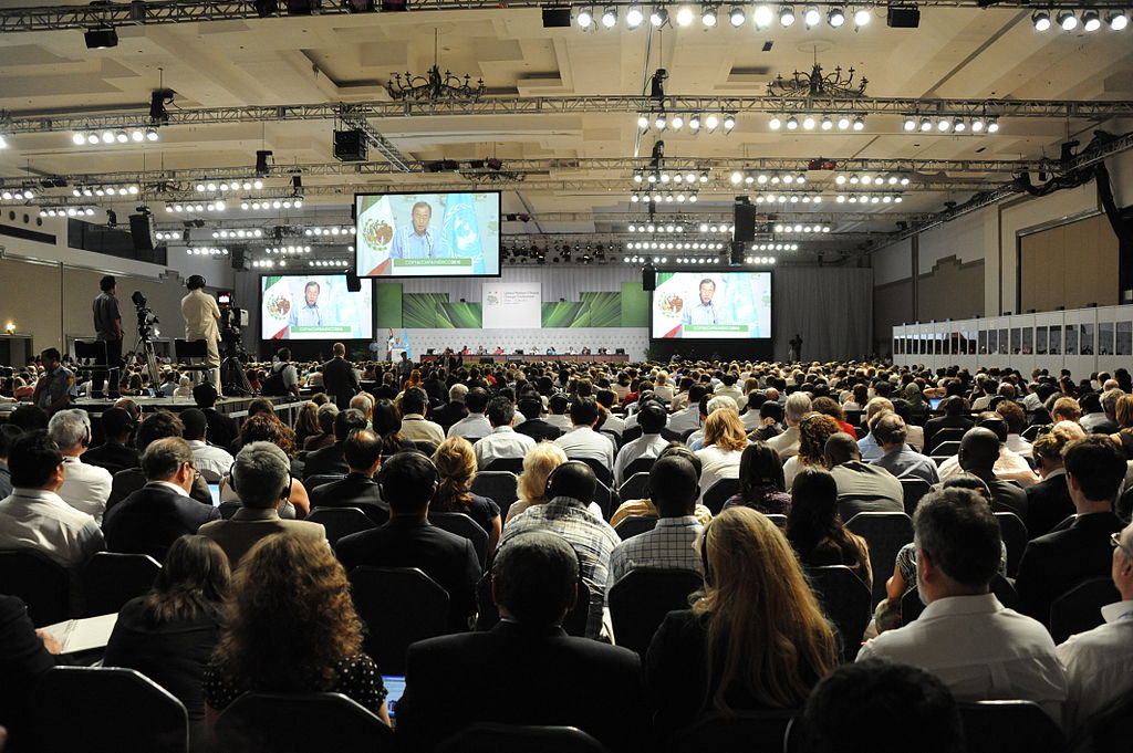 La Turquie renonce à accueillir la COP16 sur la biodiversité en 2024